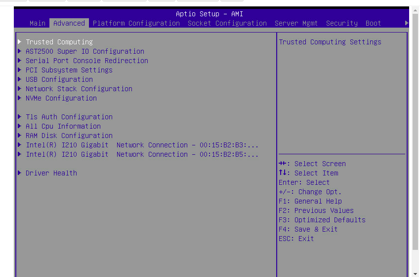 Bios Advanced.png